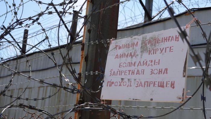 Торт, подошва, кусок мыла: куда прячут телефоны для проноса "за решётку"