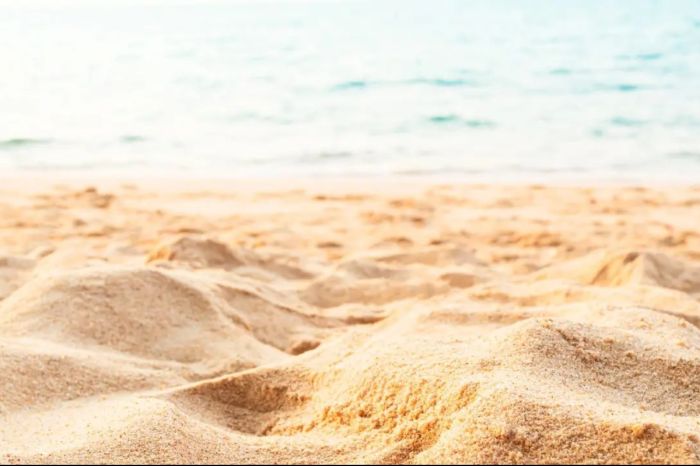 Пирс не построили — землю вернули: актив Кулибаева ушёл государству