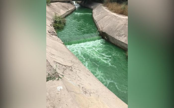 Река изменила цвет: в Алматы ищут виновных