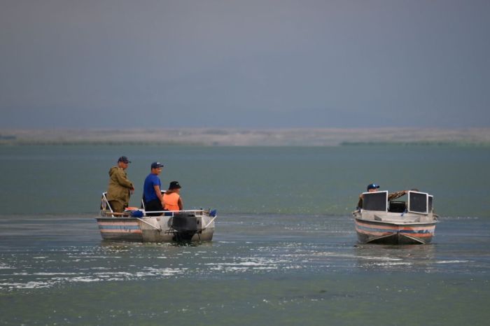Для поиска пропавшего в Казахстане вертолета применяют мистические ритуалы