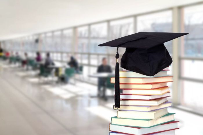 Образовательные гранты 2025: опубликованы результаты