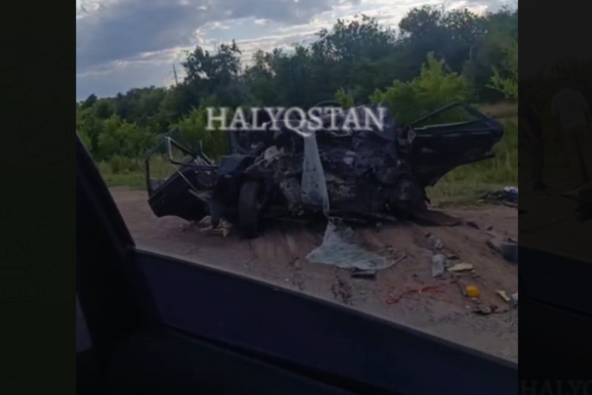 Үлкен еріндері бар қыз оны есекпен жасайды