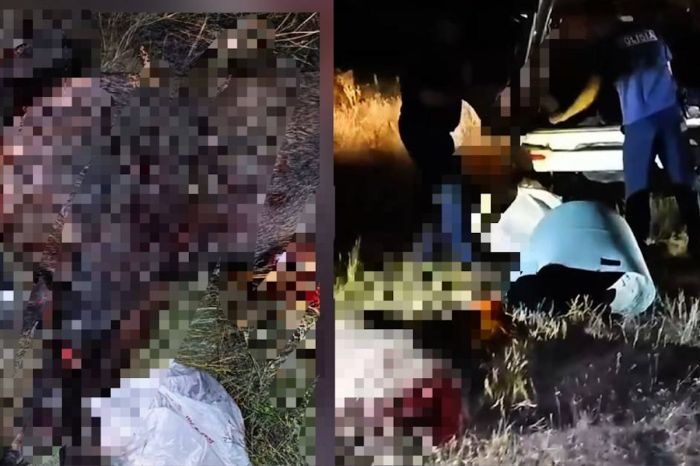 В Западно-Казахстанской области поймали браконьера с кабанами в машине