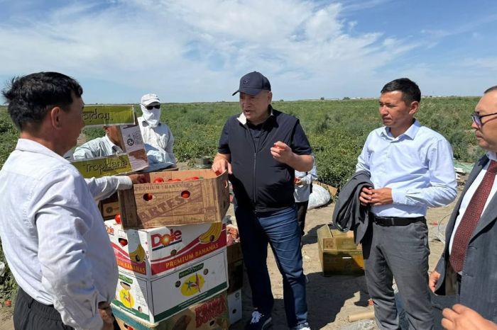 Советник премьер-министра оценил, как в Курмангазинском районе меняется жизнь селян