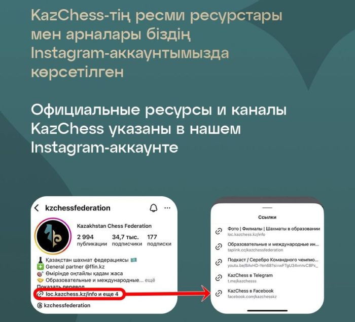 Казахстанская федерация шахмат предупредила о фальшивом сборе денег на чемпионат мира