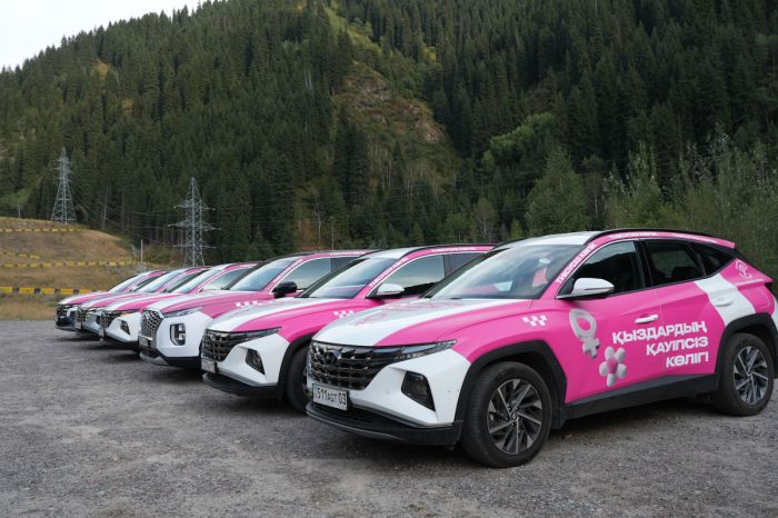 Активисты запустили 7 бесплатных маршрутов женского такси