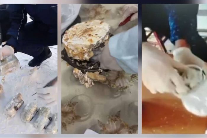 Адвокаты снова пойманы на попытке пронести запрещённые предметы в колонии