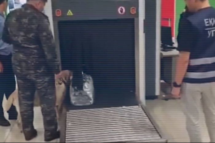 Из Пхукета в тюрьму: пассажир привёз в Алматы килограммы марихуаны