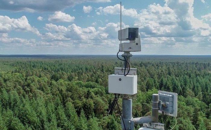 8,5 млрд тенге утильсбора направлены на защиту лесов Казахстана