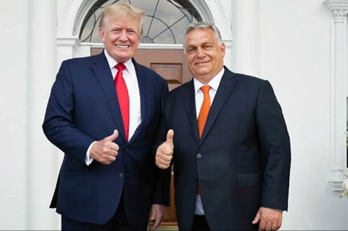 Politico: Трамп убедил Орбана перестать блокировать вступление Украины в ЕС