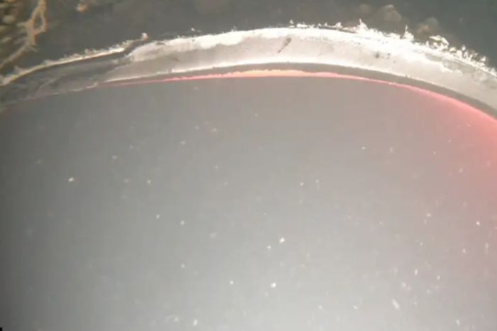 Следствие выявило всех участников подрыва "Северных потоков"