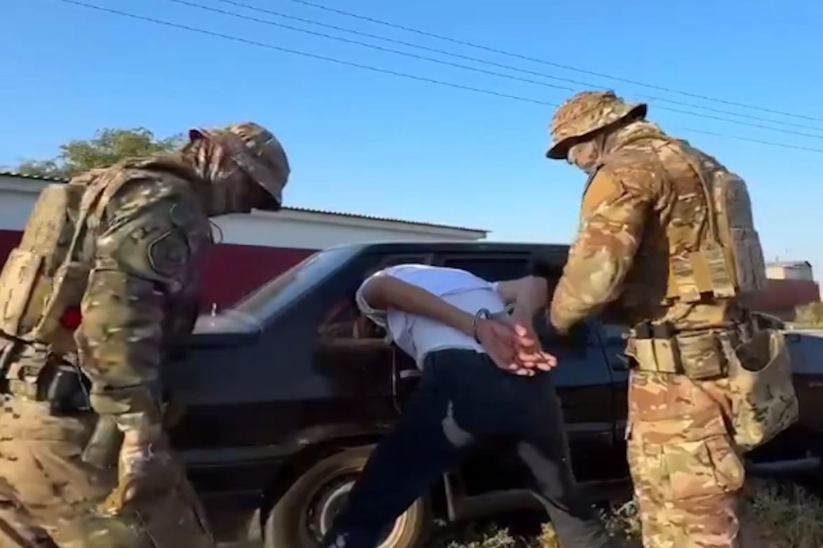 скриншот видео скриншот видео