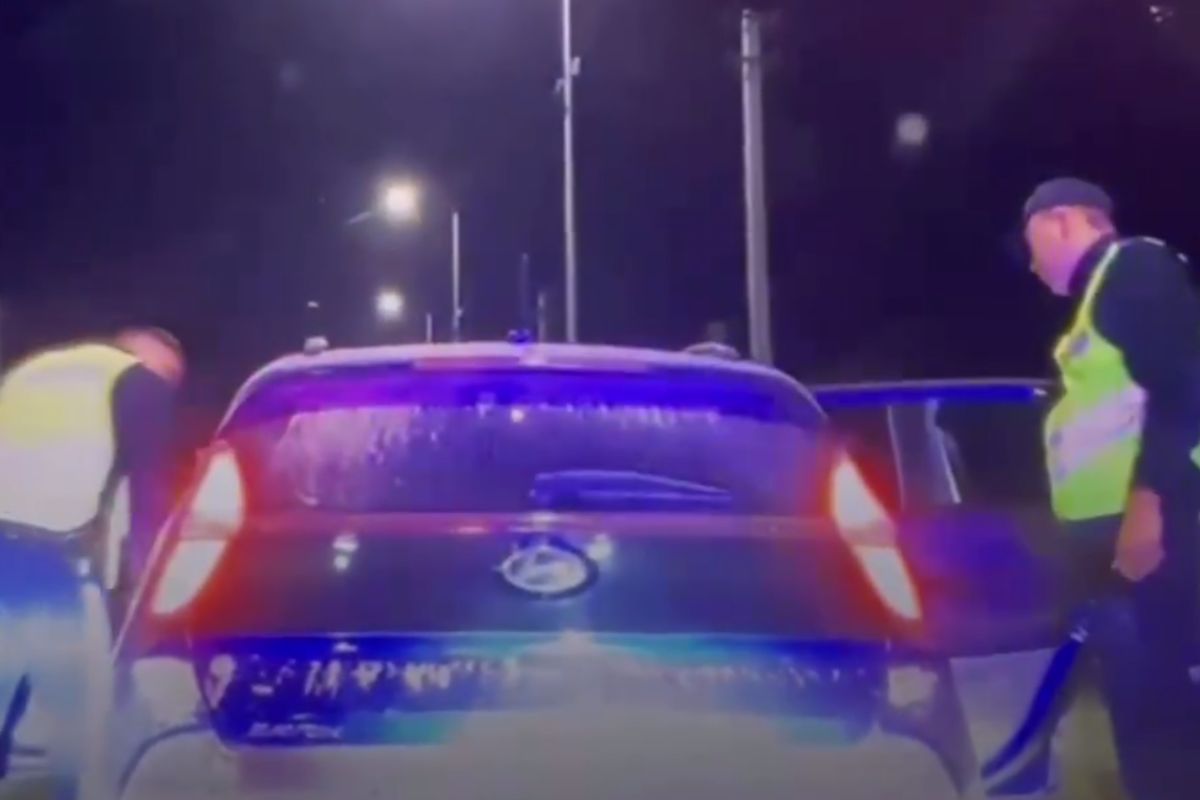 скриншот видео скриншот видео