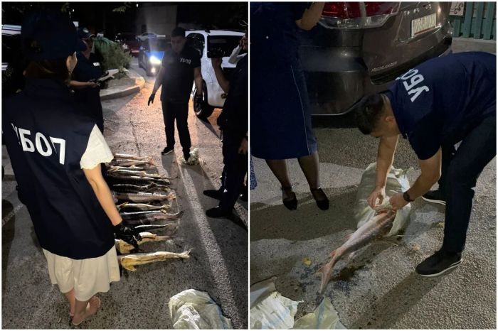 В Актау у женщины нашли 40 кг осетров — теперь ей грозит до 3 лет тюрьмы