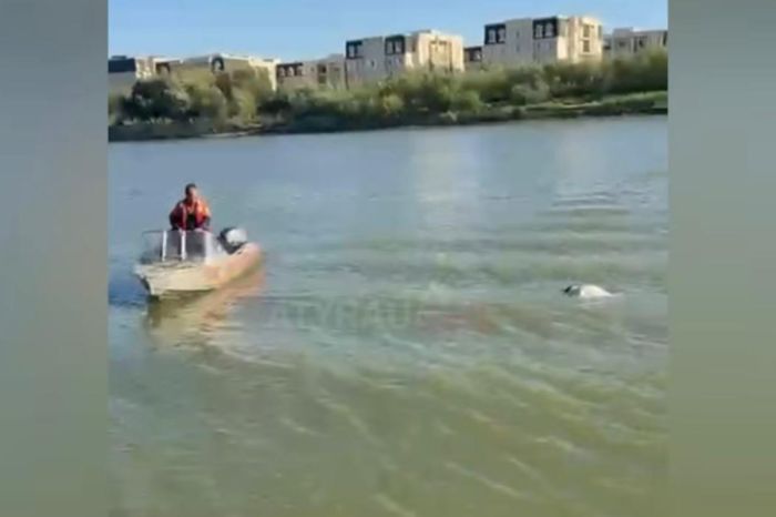 Тело мужчины обнаружили в реке Урал