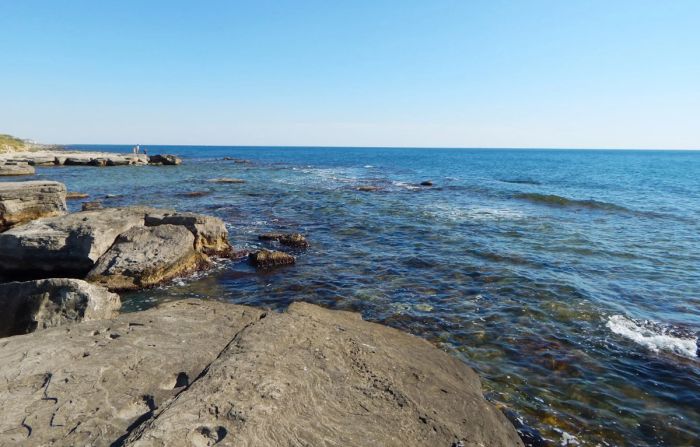 Ситуация с Каспийским морем плачевная - Токаев