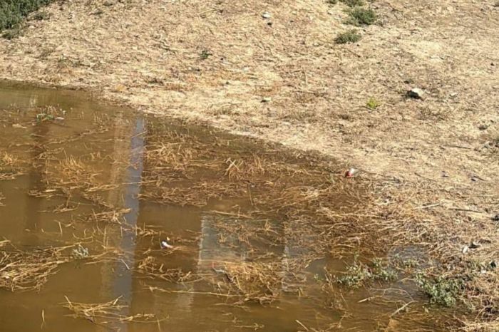 Жители мкр. Береке требуют убрать сточные воды