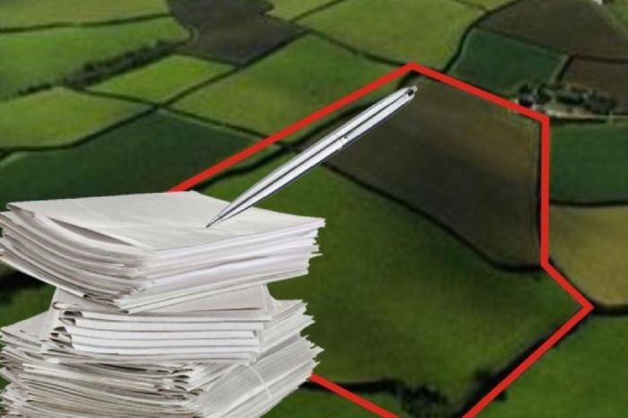 Массовые проверки после трагедии в Кульсары: наказаны владельцы восьми АЗС