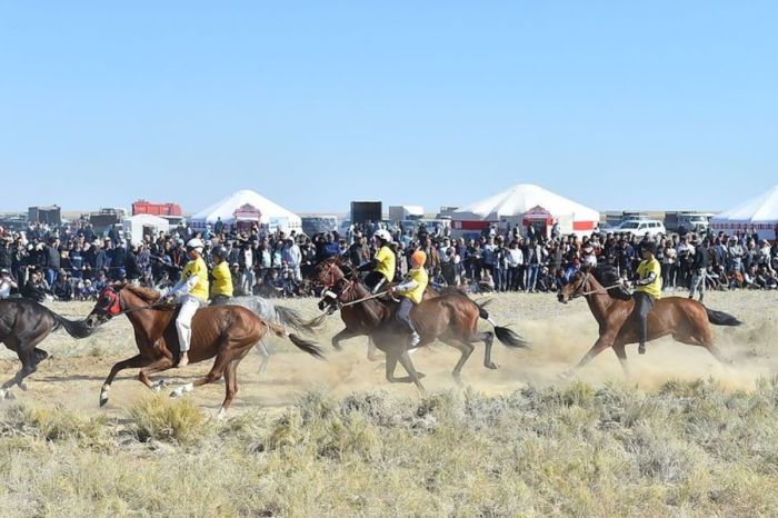 Нацспорт приравняли к олимпийскому: 11 дисциплин получили статус приоритета