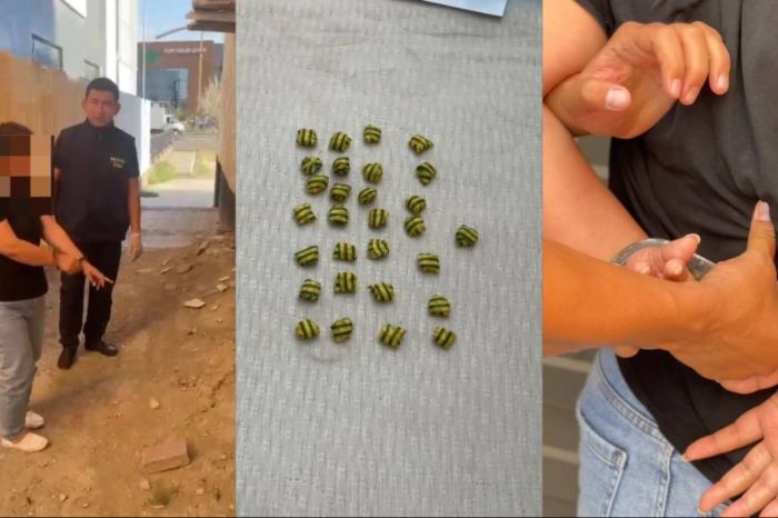 Подозрение в сбыте синтетиков: задержана жительница Жылыойского района 