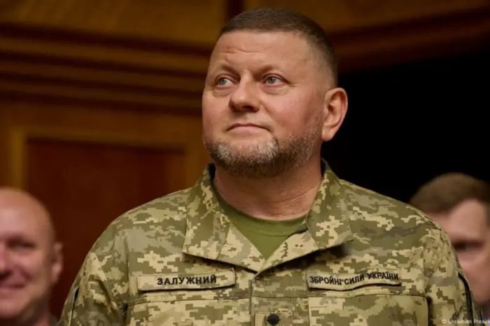 Welt: "Северные потоки" подорвали по заданию Залужного