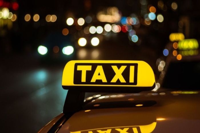 Платформенная занятость в Казахстане: закон есть, но налоги платит один Яндекс