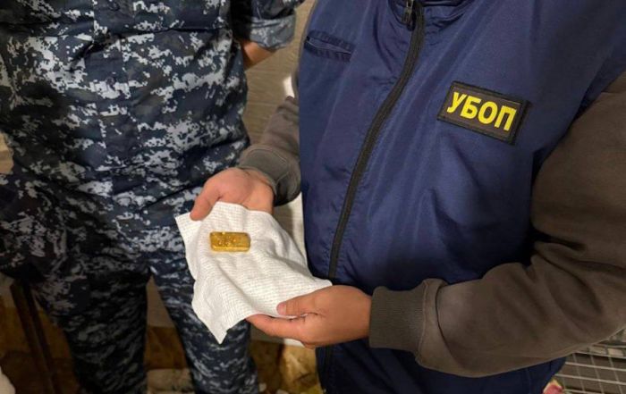 19 иностранцев незаконно добывали золото в ВКО