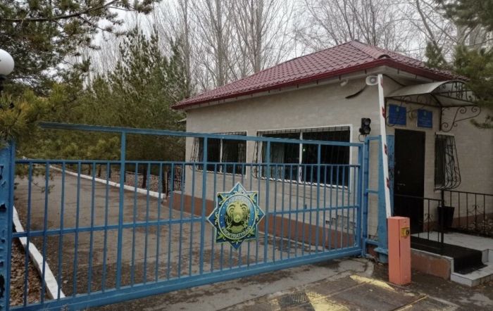 «Черное золото» и серые схемы: угольное предприятие поймали на уклонении от налогов