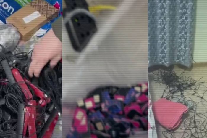 Казахстан, Кыргызстан и Россия ликвидировали международный канал кибермошенничества