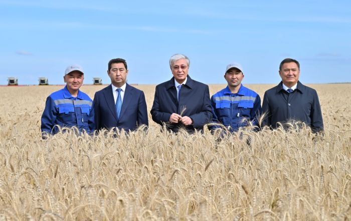 Акмолинская область соберёт 7 млн тонн зерна: Токаев инспектирует ход уборки урожая