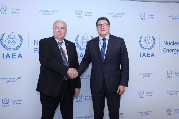 Казахстан и МАГАТЭ обсудили развитие национальной ядерной энергетики