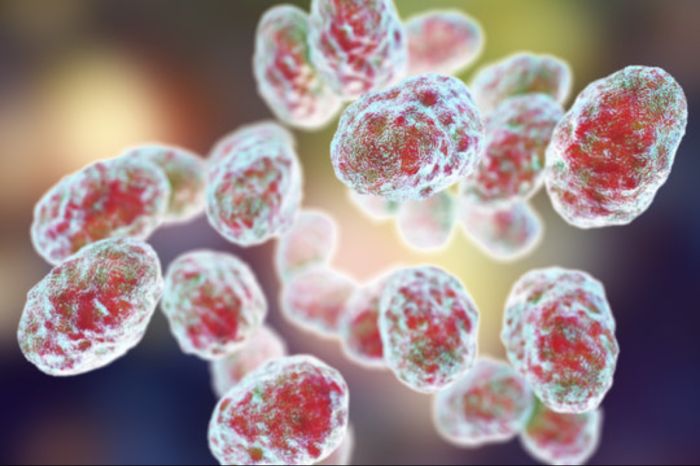 «Малая чума» в Павлодарской области: двое детей заразились туляремией, один — после немытых овощей