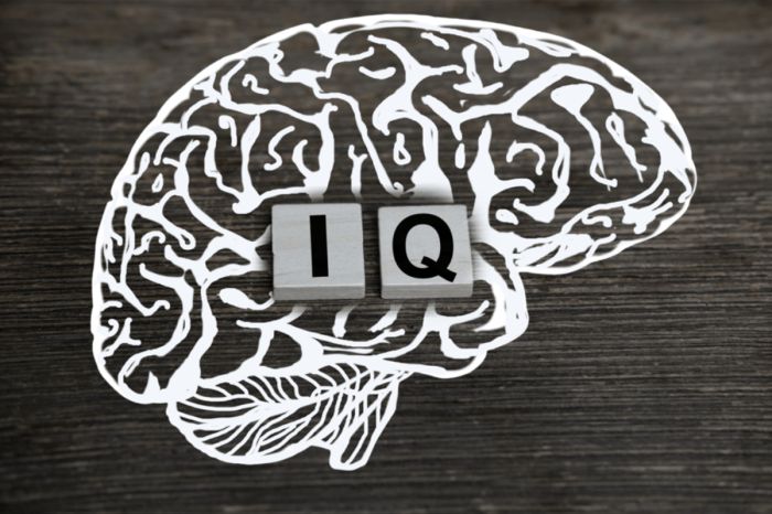 Кто на свете всех умнее? В рейтинге стран по IQ Казахстан оказался лишь на 65-м месте из 126