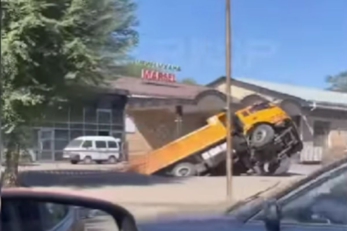 скриншот видео скриншот видео