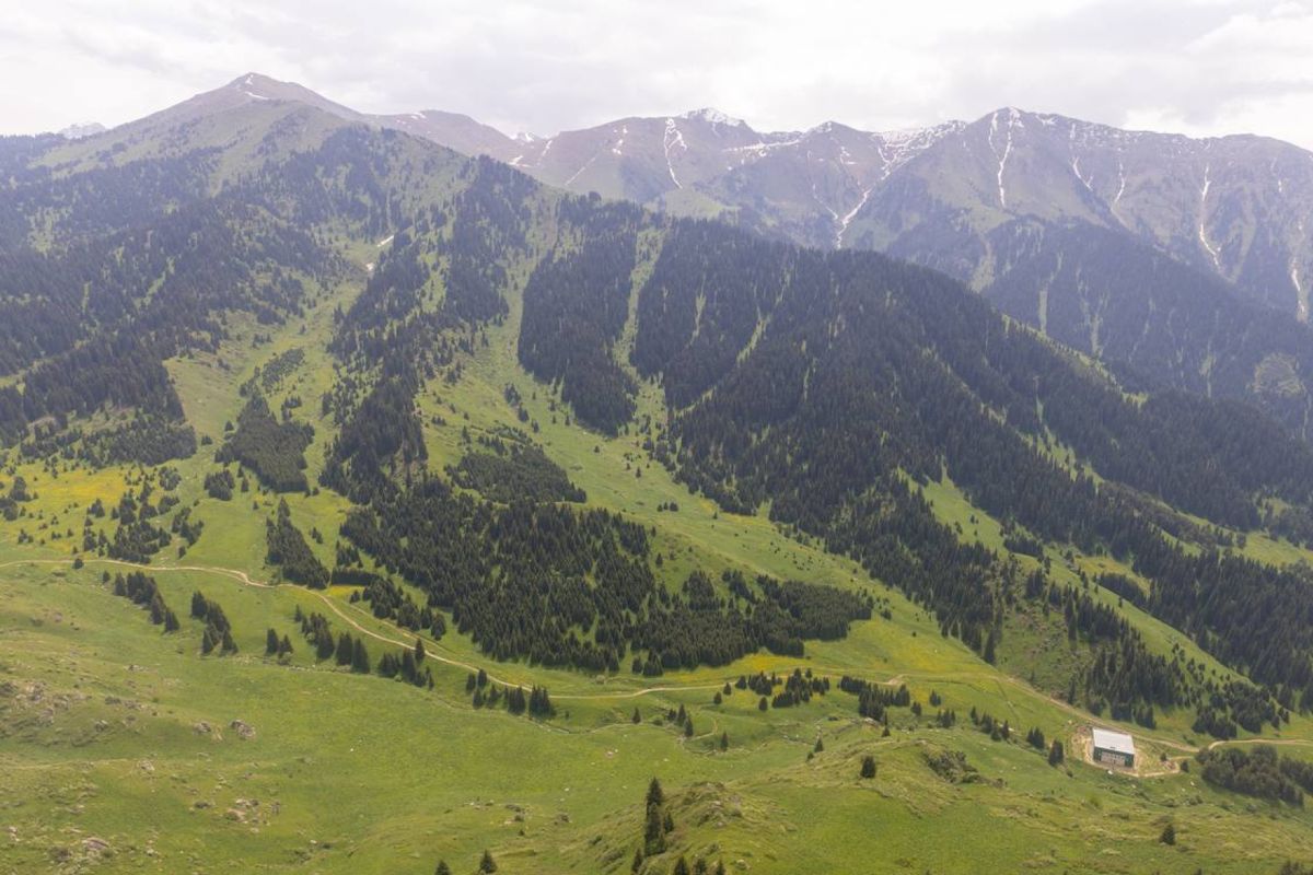 фото пресс-службы правительства РК фото пресс-службы правительства РК