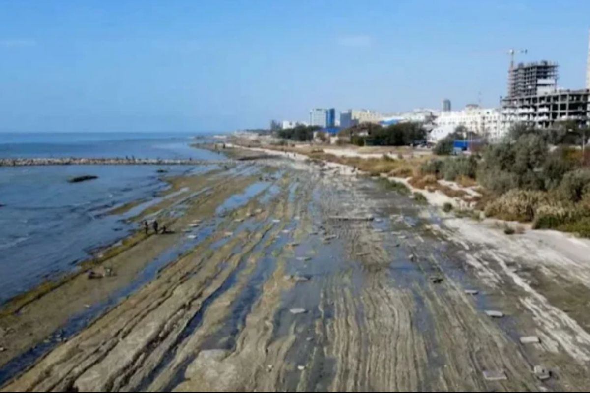 Фото из открытых источников.