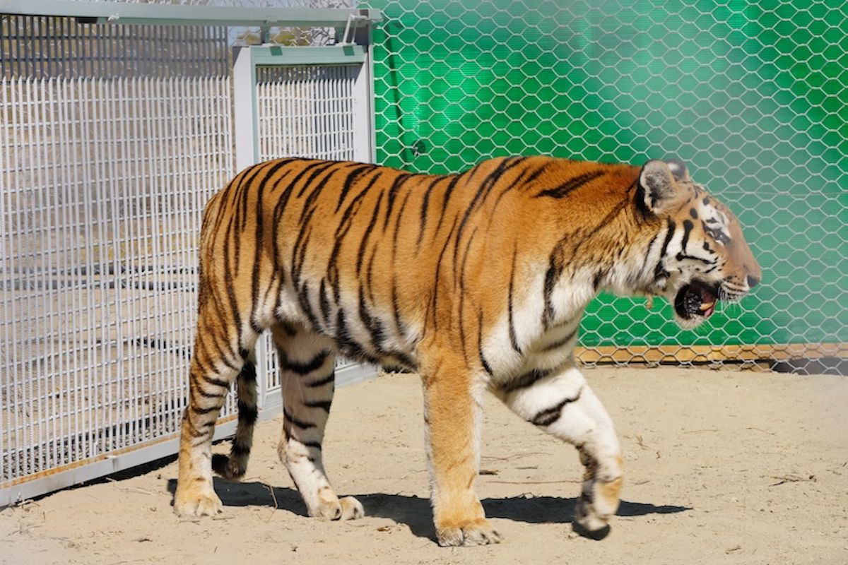 фото WWF Центральная Азия фото WWF Центральная Азия