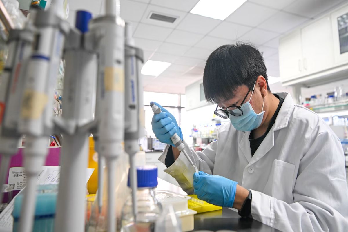 A researcher works at a Chinese Academy of Sciences laboratory in Tianjin. Sun Fanyue/Xinhua News Agency/Getty Images