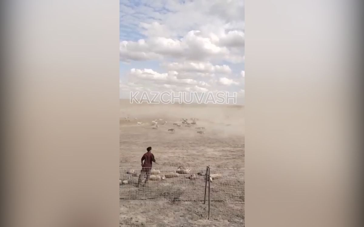 стоп-кадр видео стоп-кадр видео