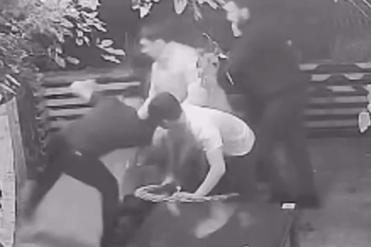 скриншот видео скриншот видео