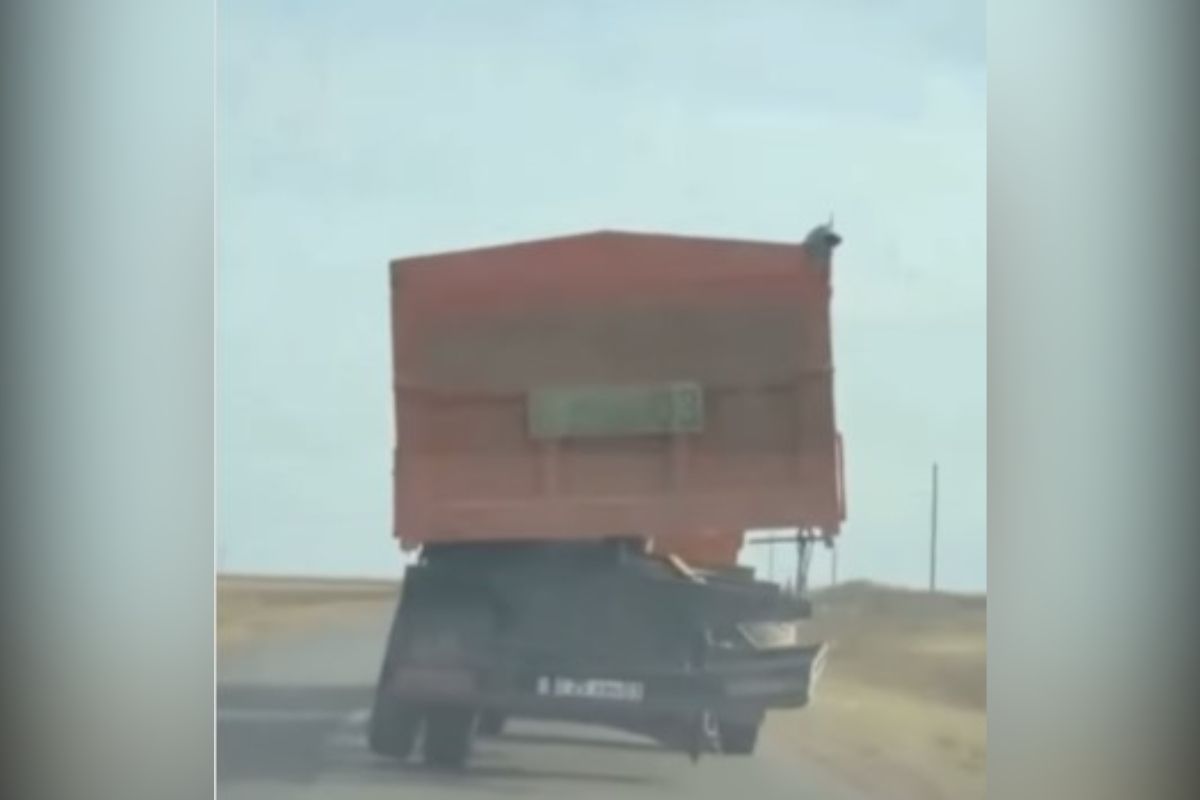 скриншот видео