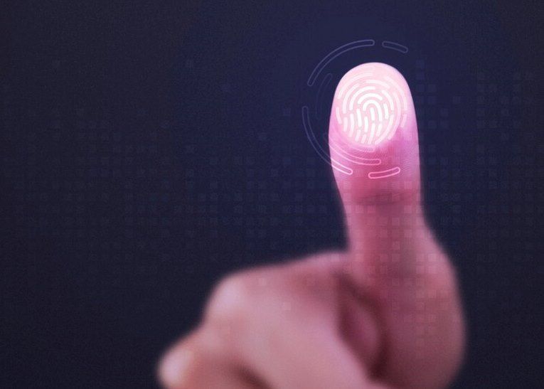 фото freepik.com фото freepik.com