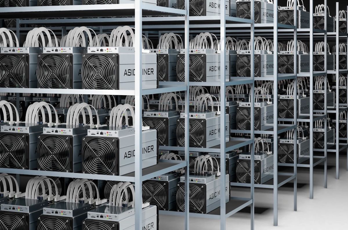 фото Canva фото Canva