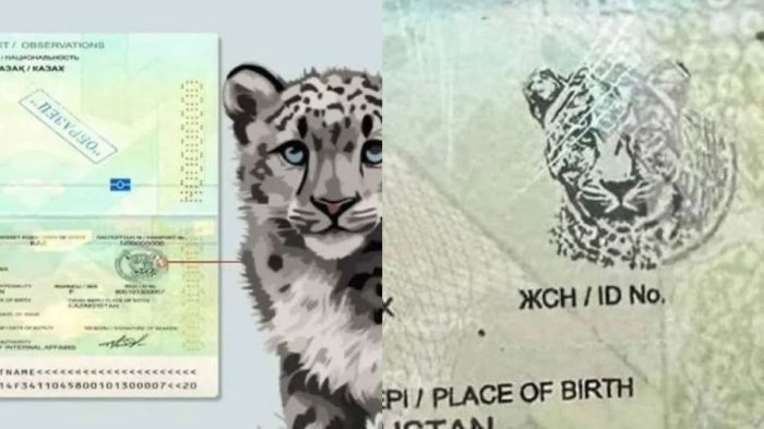 Зачем барс в новых паспортах Казахстана: МВД объяснило новый защитный элемент