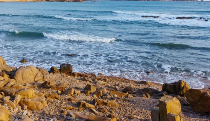 Прокуратура усилила контроль за инвестпроектами в СЭЗ «Морпорт Актау»