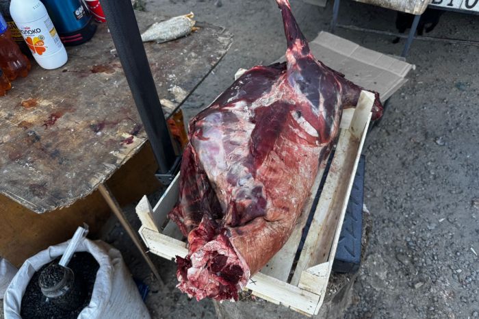 Мясо сайгака появилось на прилавках Атырау