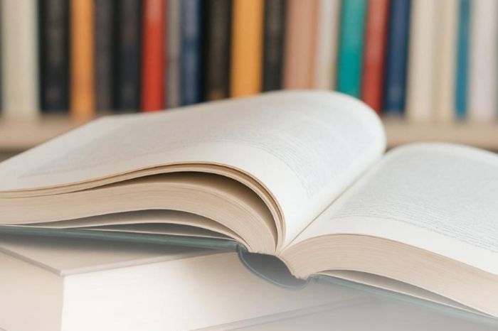 Новые учебники на проверке: какие предметы пойдут в апробацию