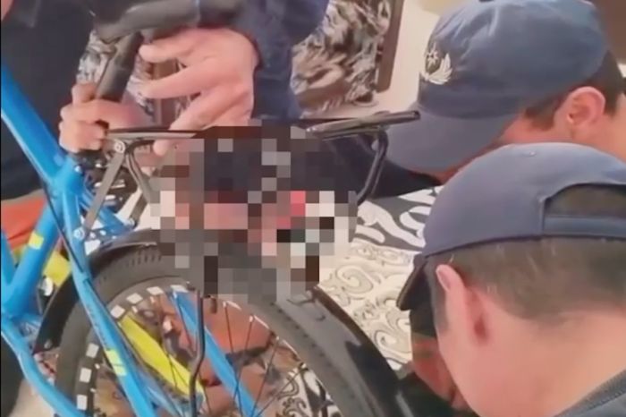 Спасатели Атырау освободили ребёнка от велосипедной цепи