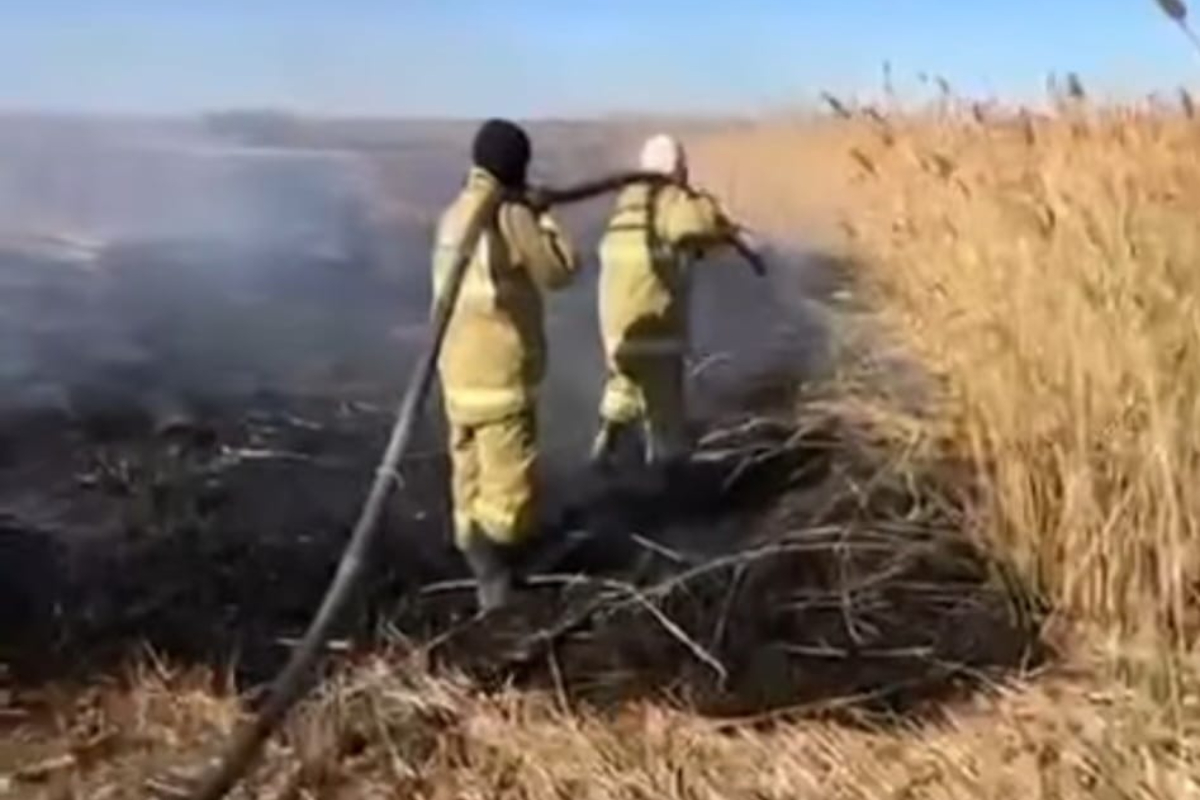 Бетке кончает порно