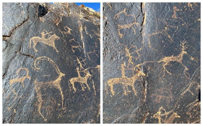 Нейросеть поможет сохранить петроглифы в Казахстане